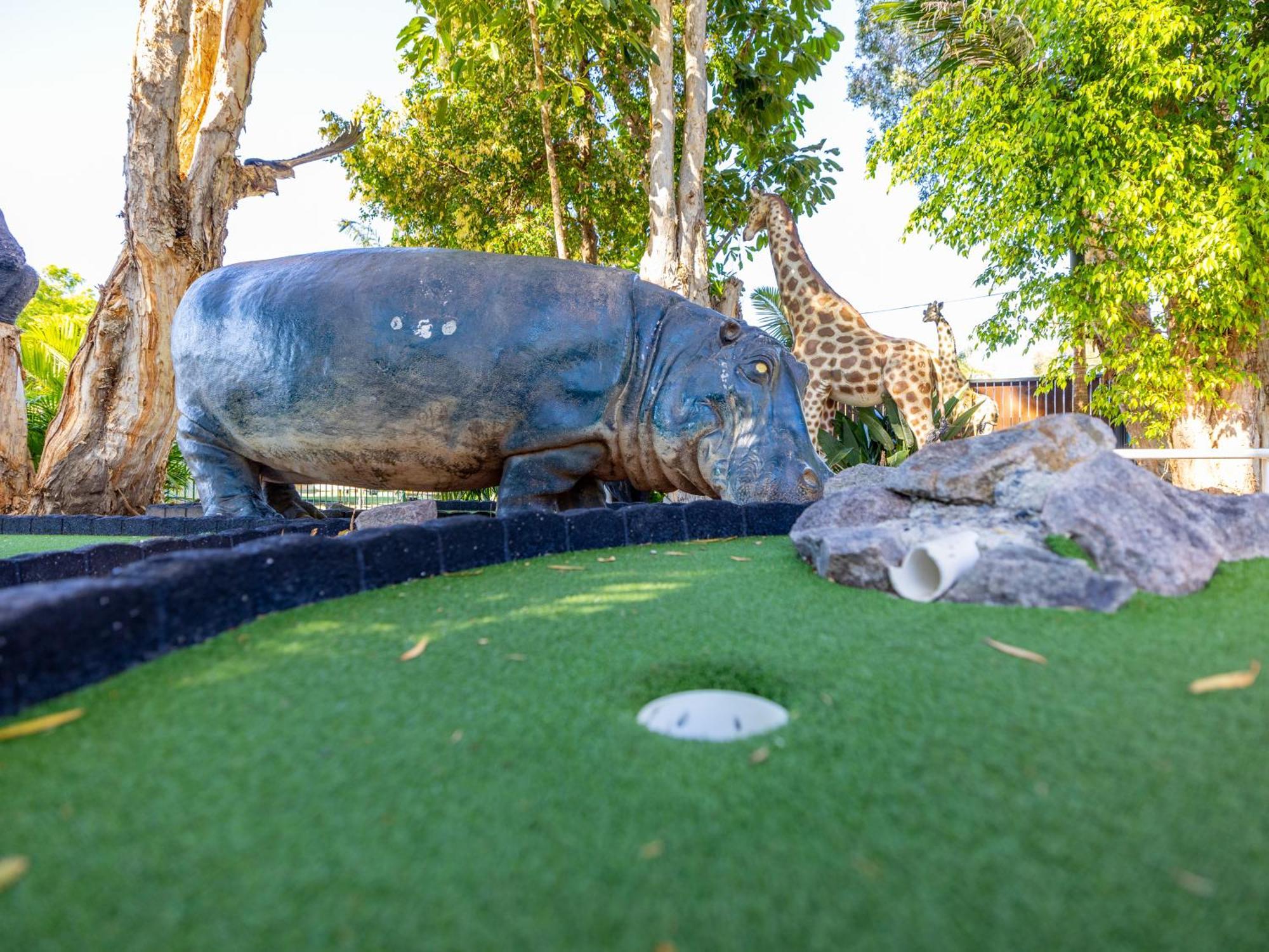 Nrma Blue Dolphin Yamba Holiday Resort エクステリア 写真